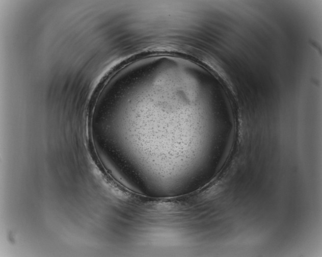 X0000099480984200805231851