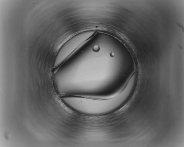 X0000099480985200805231851