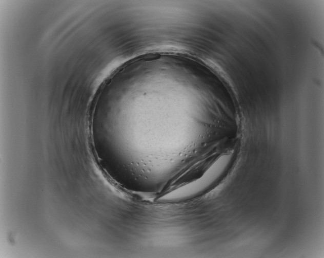 X0000099480989200805231851