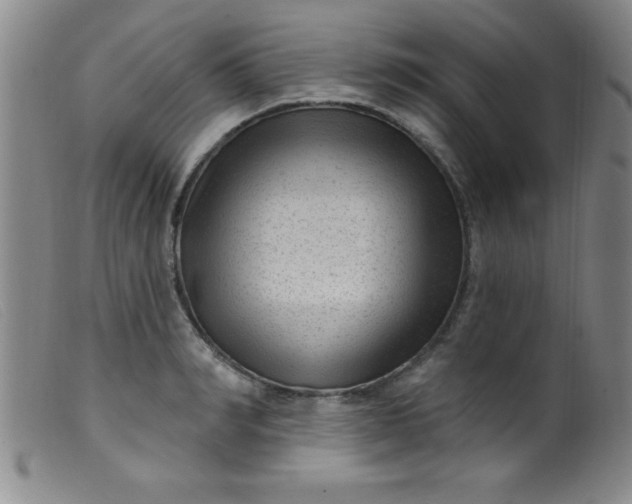 X0000099480990200805231851