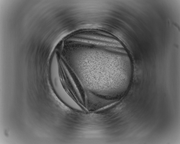 X0000099480992200805231851