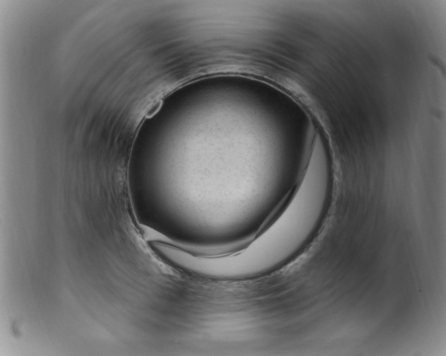 X0000099480993200805231851