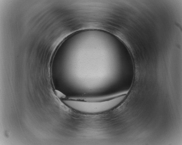 X0000099480996200805231851