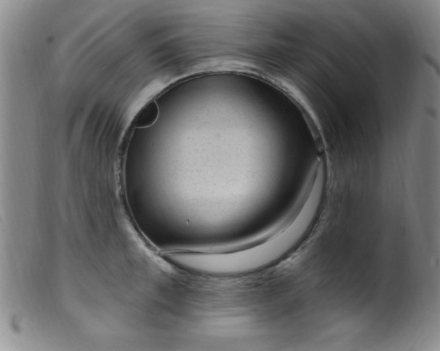 X0000099480997200805231851