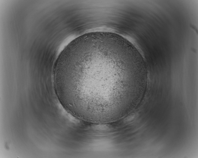 X0000099480998200805231851