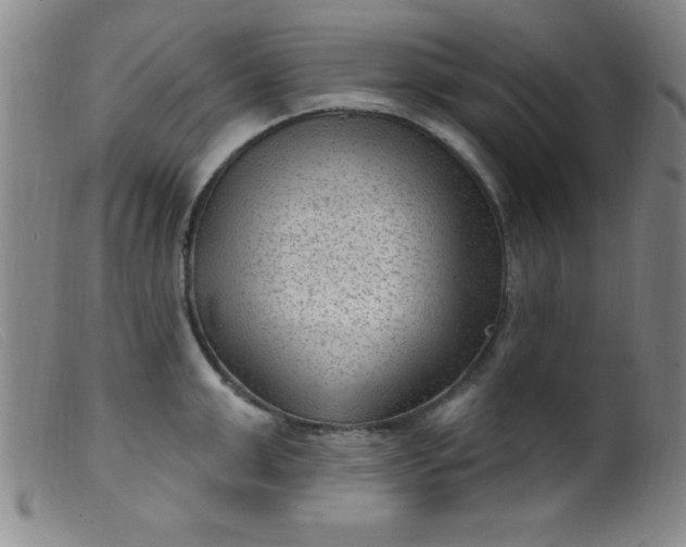 X0000099480999200805231850