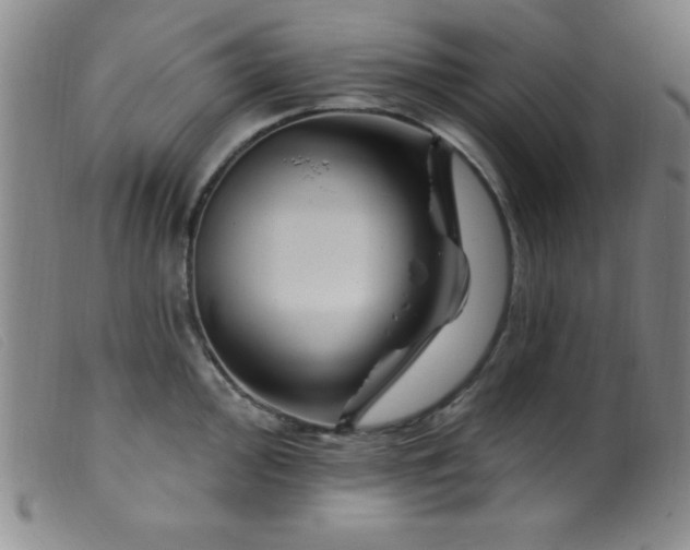 X0000099481000200805231850