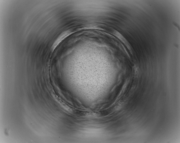 X0000099481002200805231850