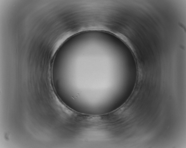 X0000099481006200805231850