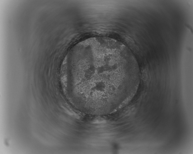X0000099481009200805231850