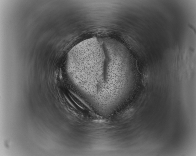 X0000099481010200805231850
