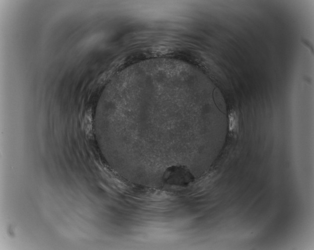 X0000099481011200805231850
