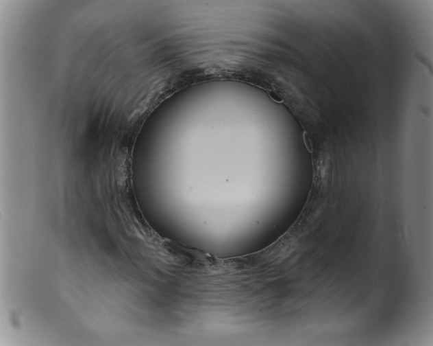 X0000099481012200805231850