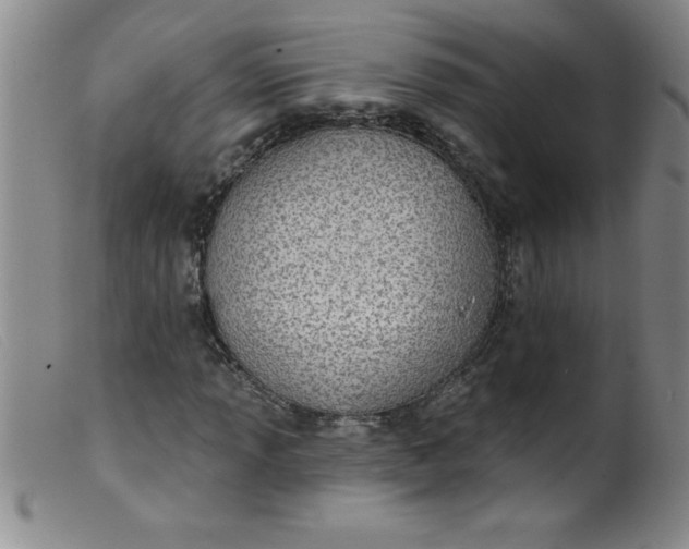 X0000099481013200805231850