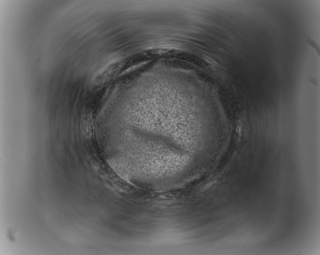X0000099481014200805231850