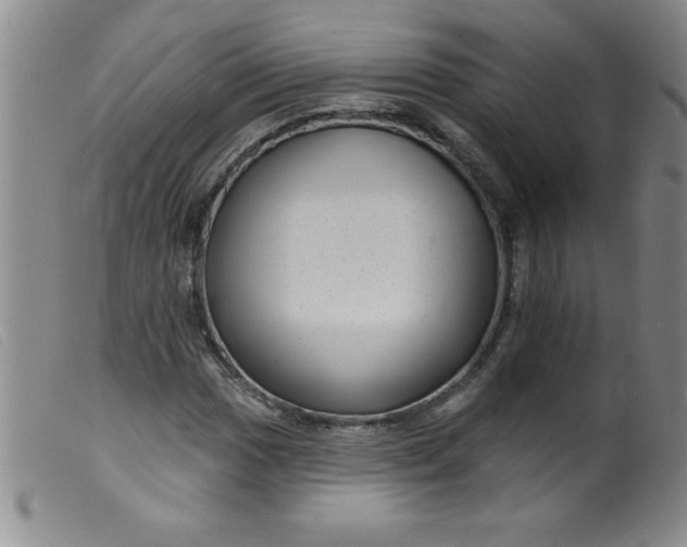 X0000099481017200805231850