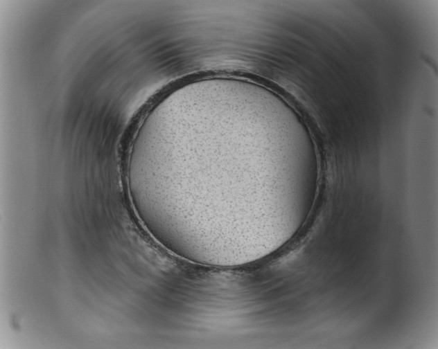 X0000099481022200805231850