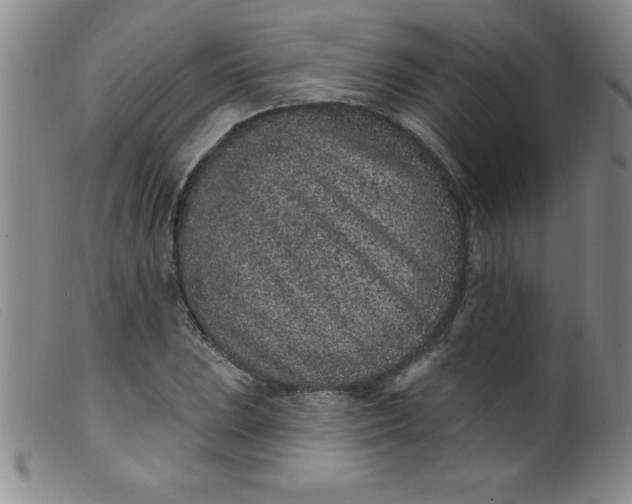 X0000099481023200805231850