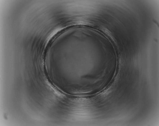 X0000099481024200805231850