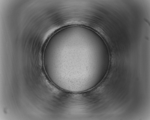 X0000099481030200805231850