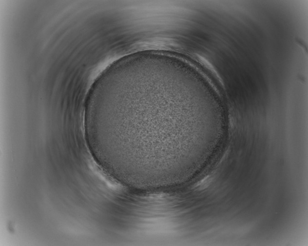 X0000099481035200805231850