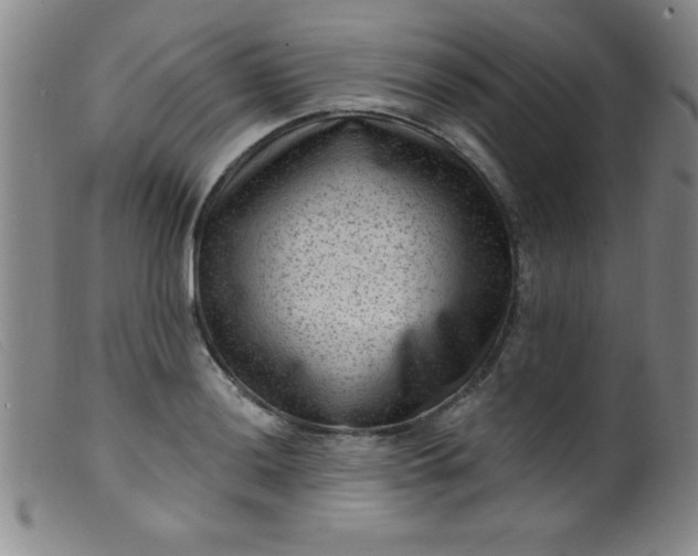 X0000099481036200805231850