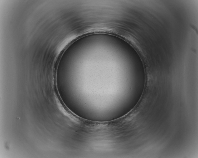 X0000099481038200805231850