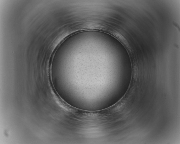 X0000099481039200805231850