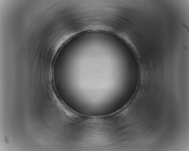 X0000099481040200805231850