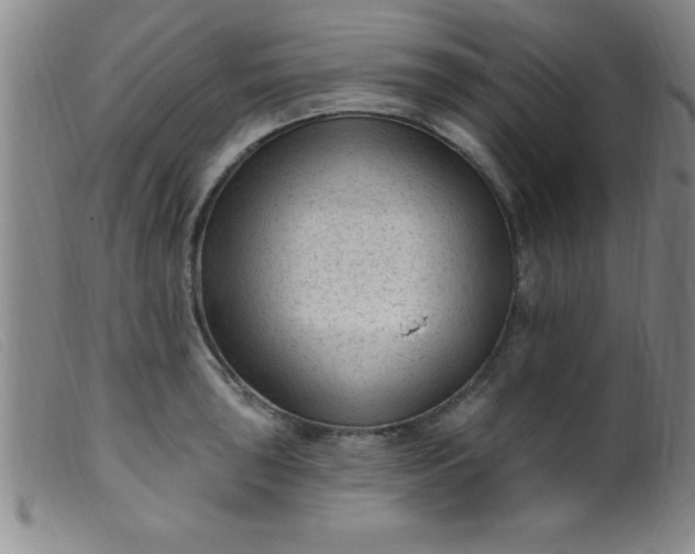 X0000099481043200805231850