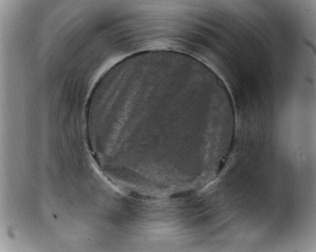 X0000099481045200805231850