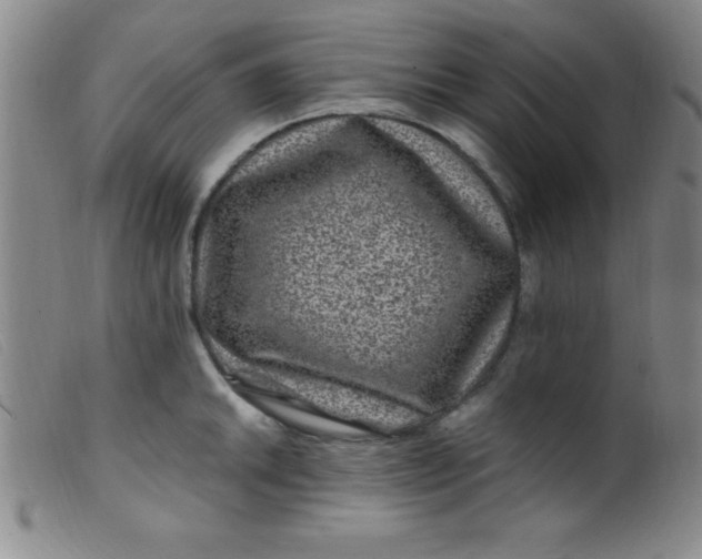 X0000099481046200805231850