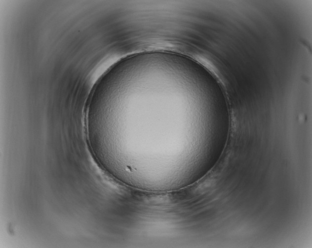 X0000099481047200805231850