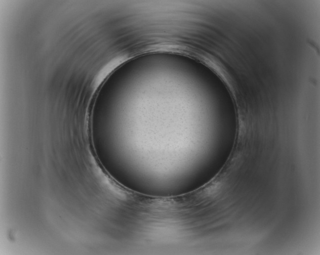 X0000099481050200805231850