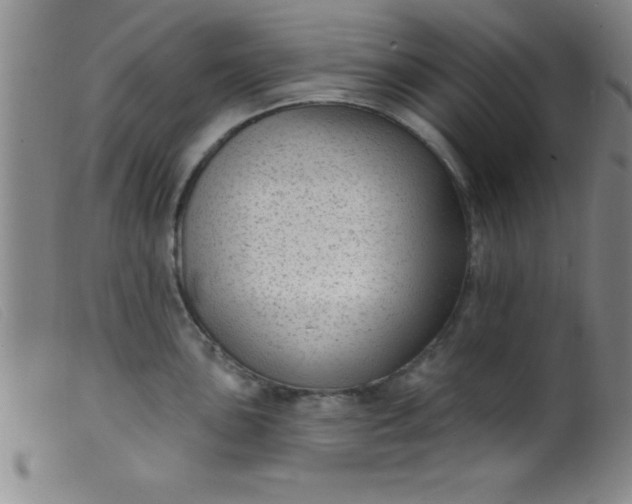 X0000099481051200805231850