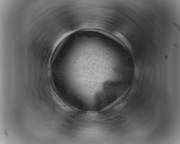 X0000099481052200805231850