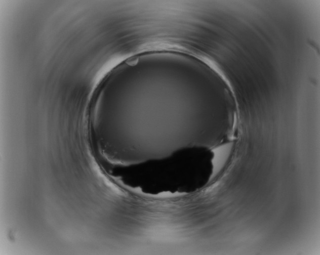 X0000099481053200805231850