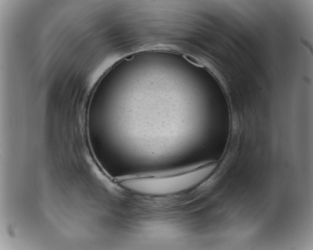 X0000099481054200805231850