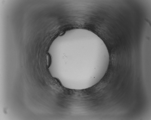 X0000099481057200805231850