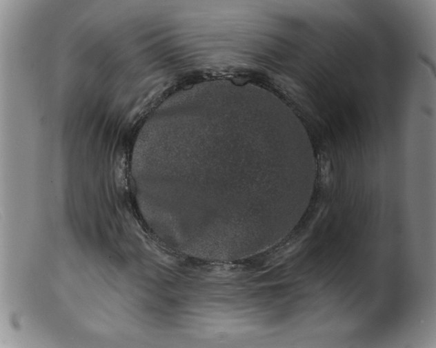 X0000099481060200805231850