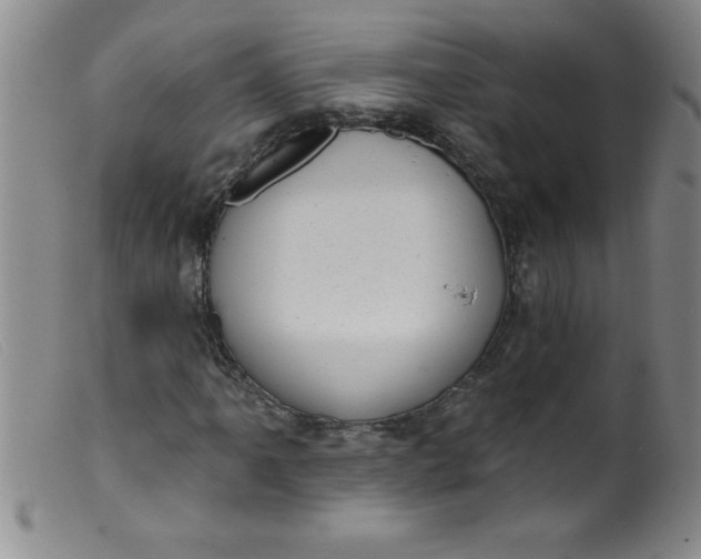 X0000099481061200805231850