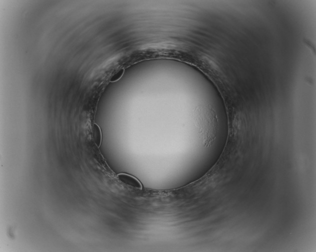 X0000099481062200805231850