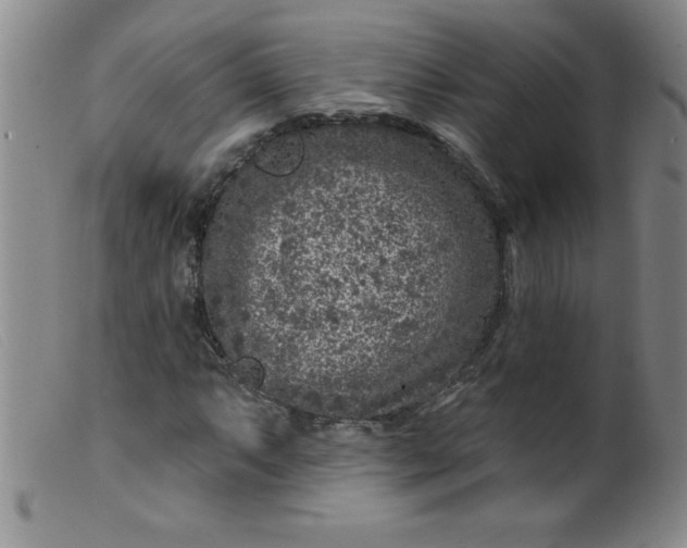 X0000099481063200805231850