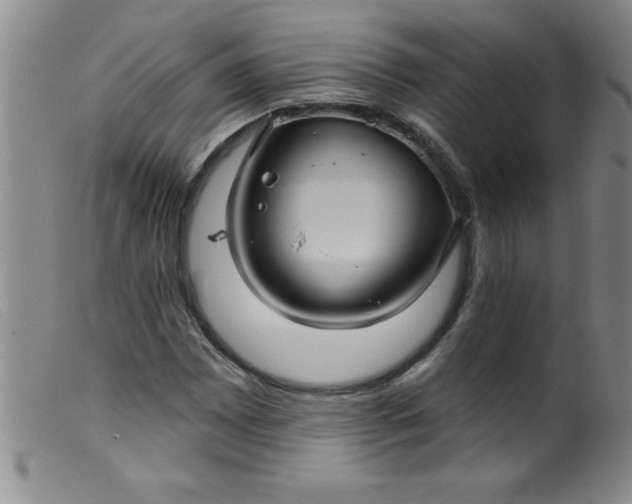 X0000099481065200805231850