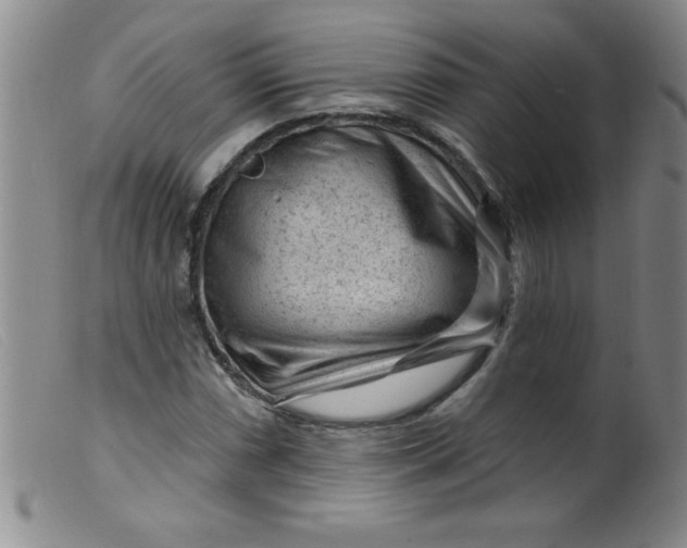 X0000099481066200805231850