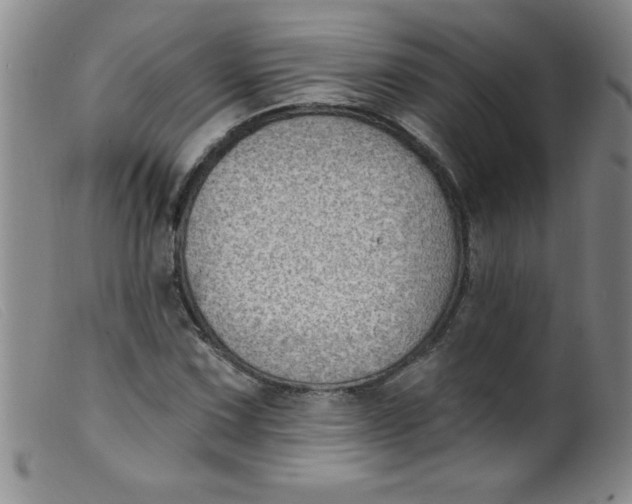 X0000099481067200805231850
