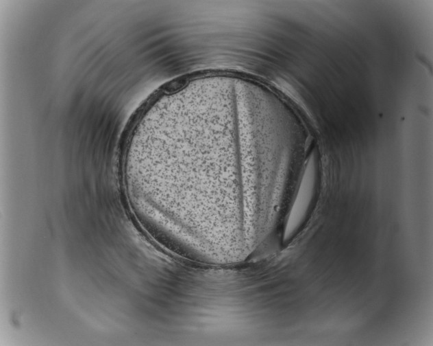 X0000099481068200805231850