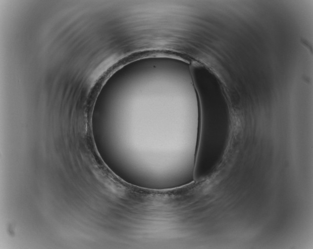 X0000099481069200805231850