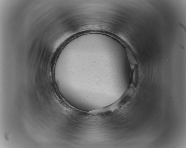 X0000099481070200805231850