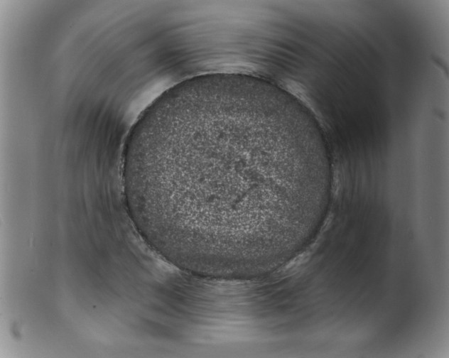 X0000099481071200805231849